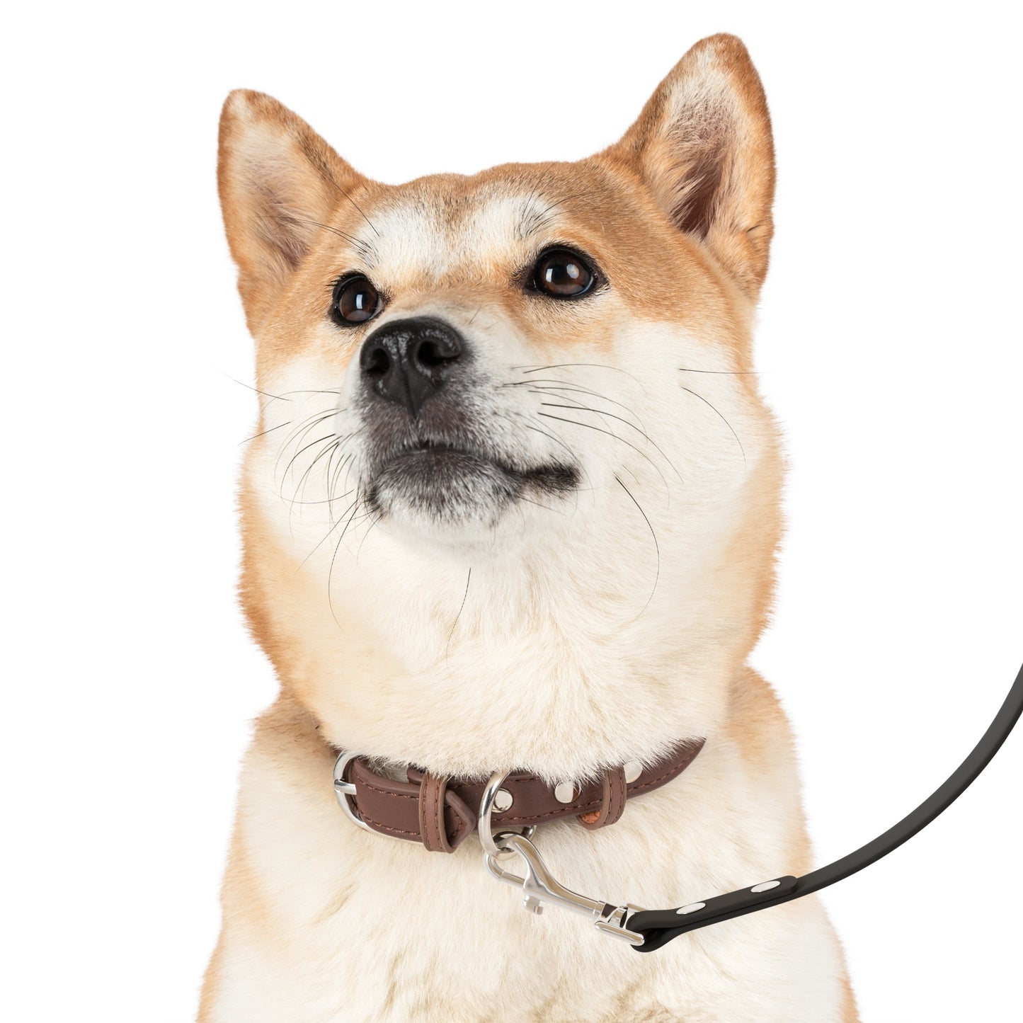 Woof Walkers Leash