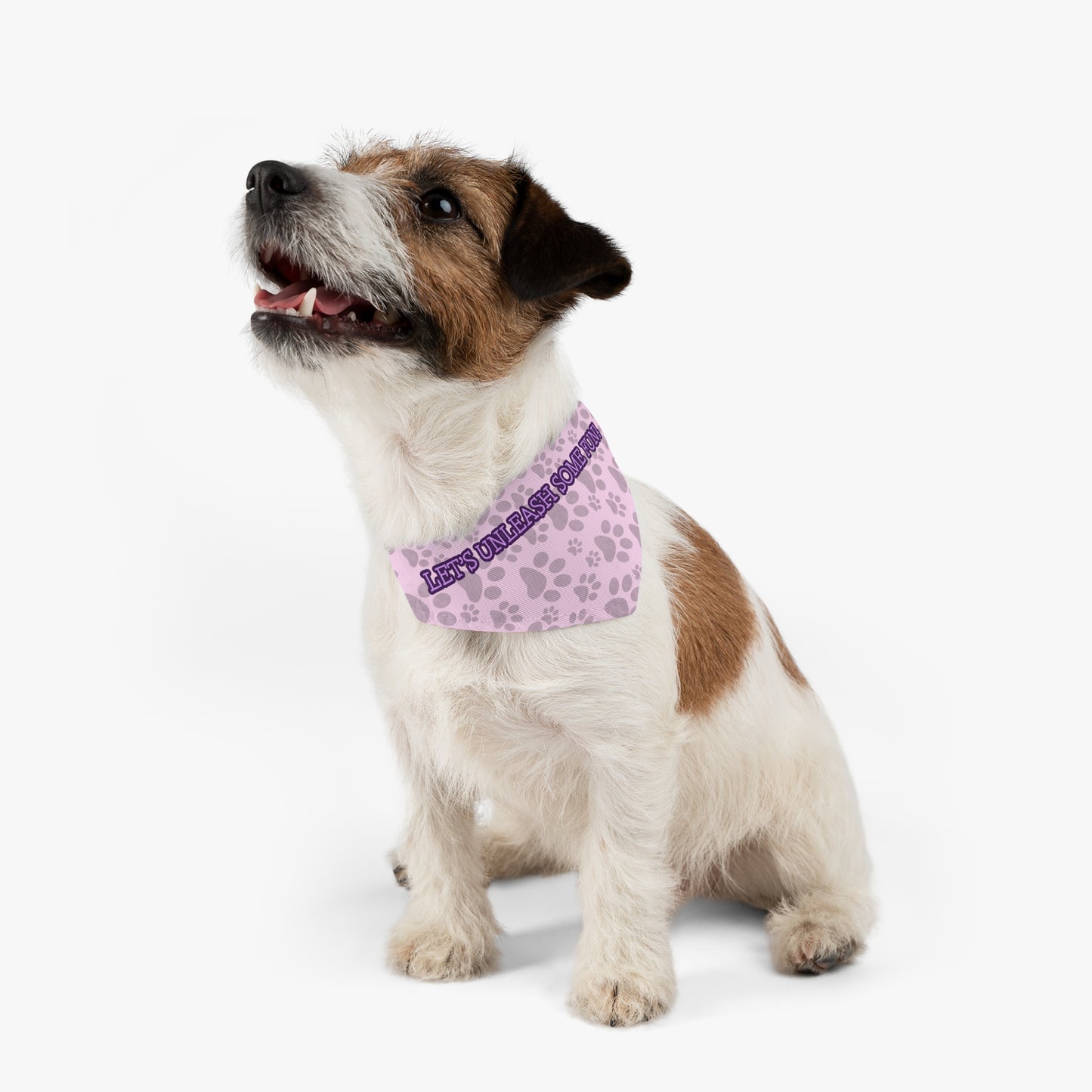 Pet Collar Couture (Pink)