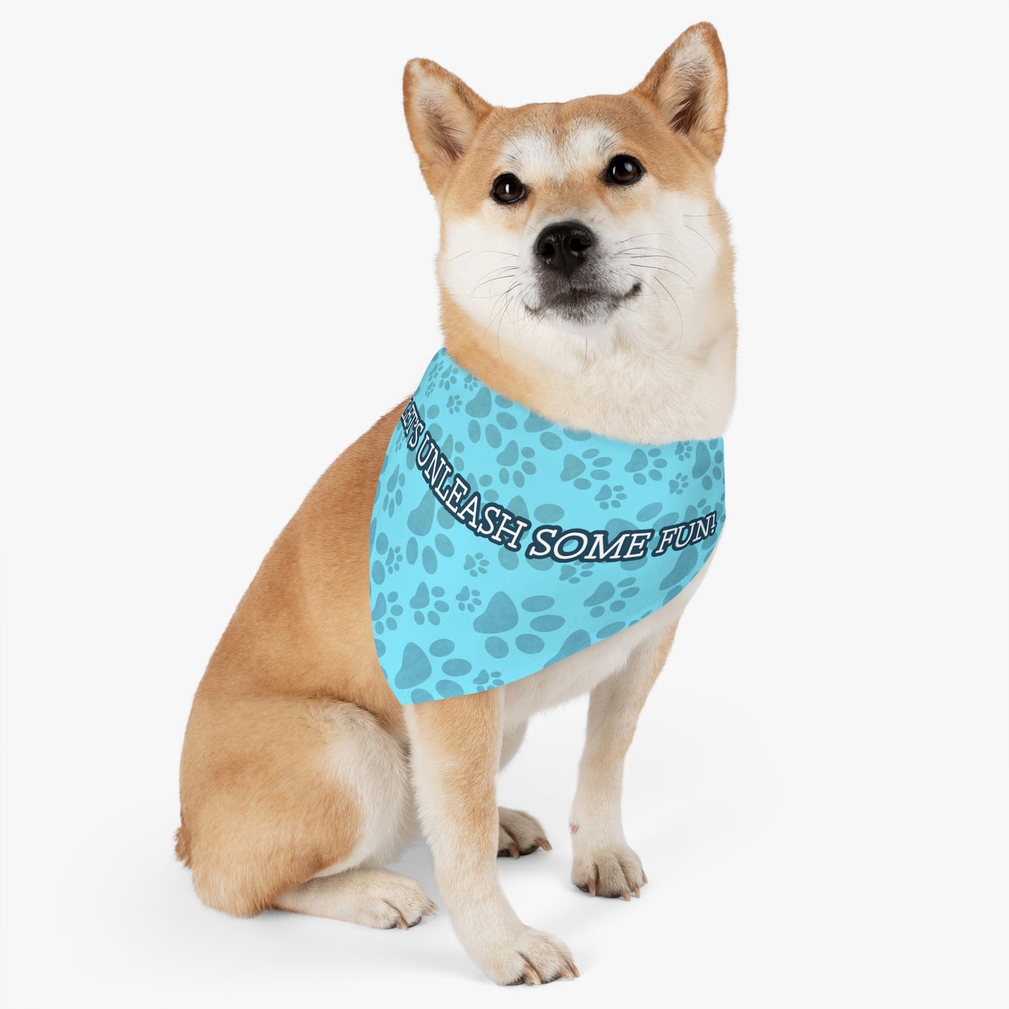 Pet Pet Collar Couture (Blue)