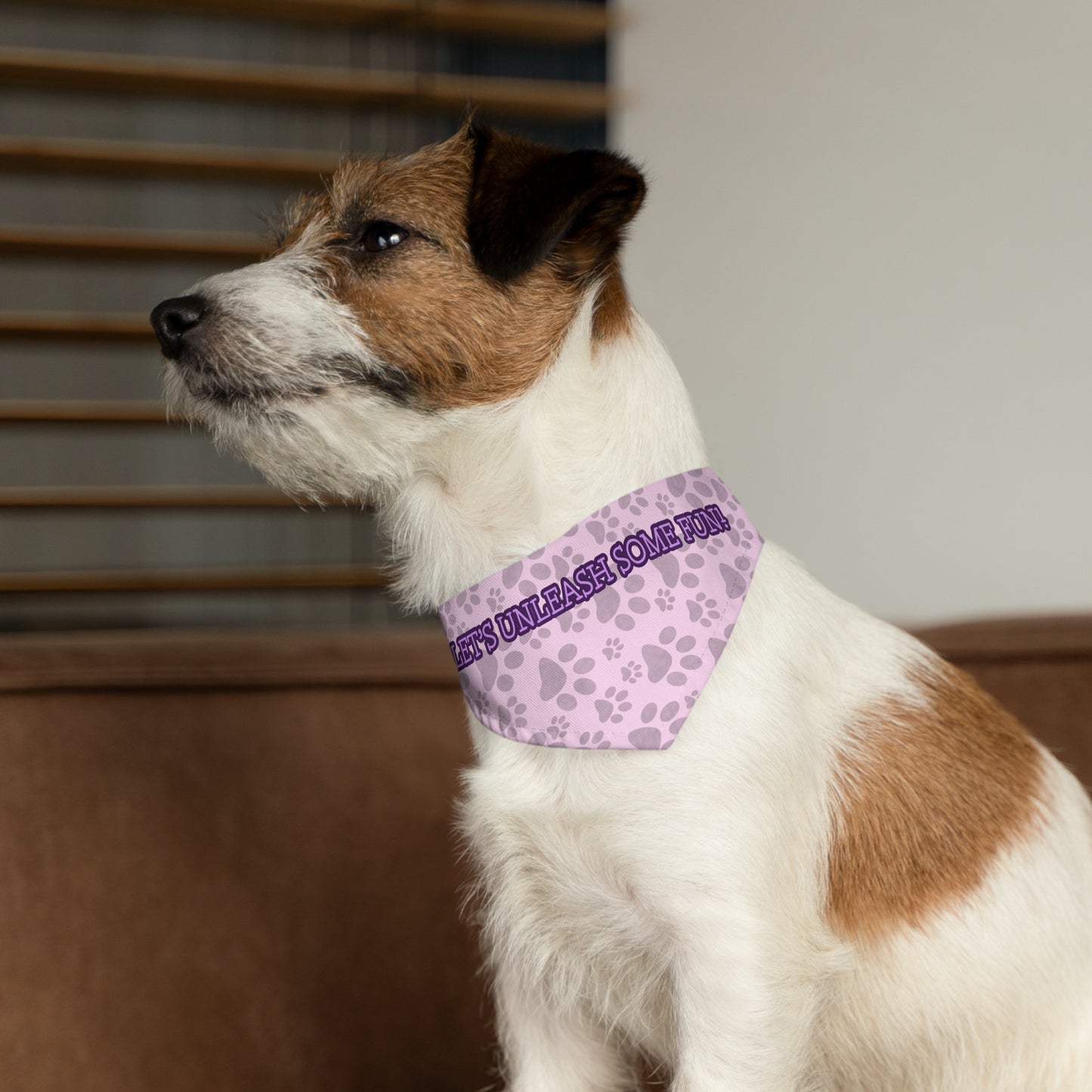 Pet Collar Couture (Pink)