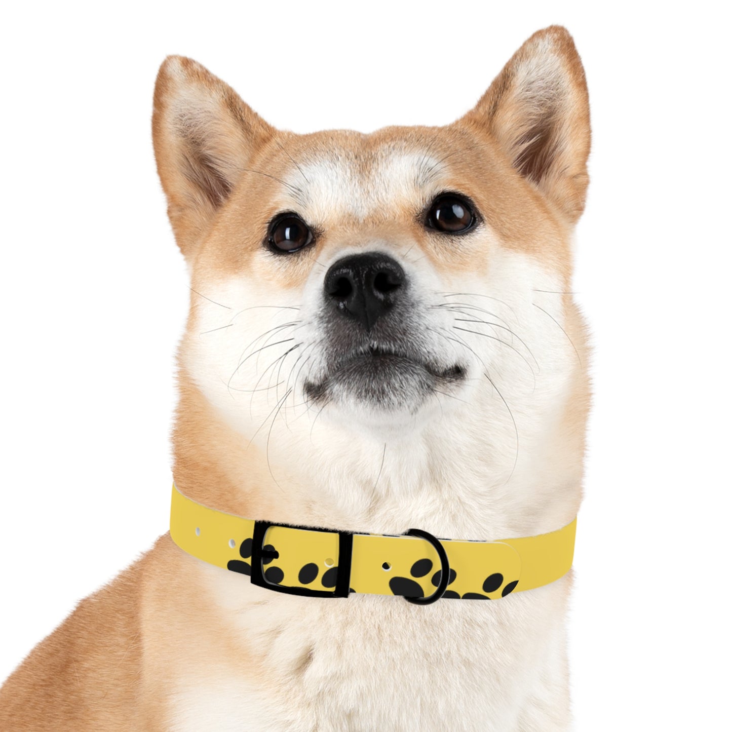 Caring Companion Collar