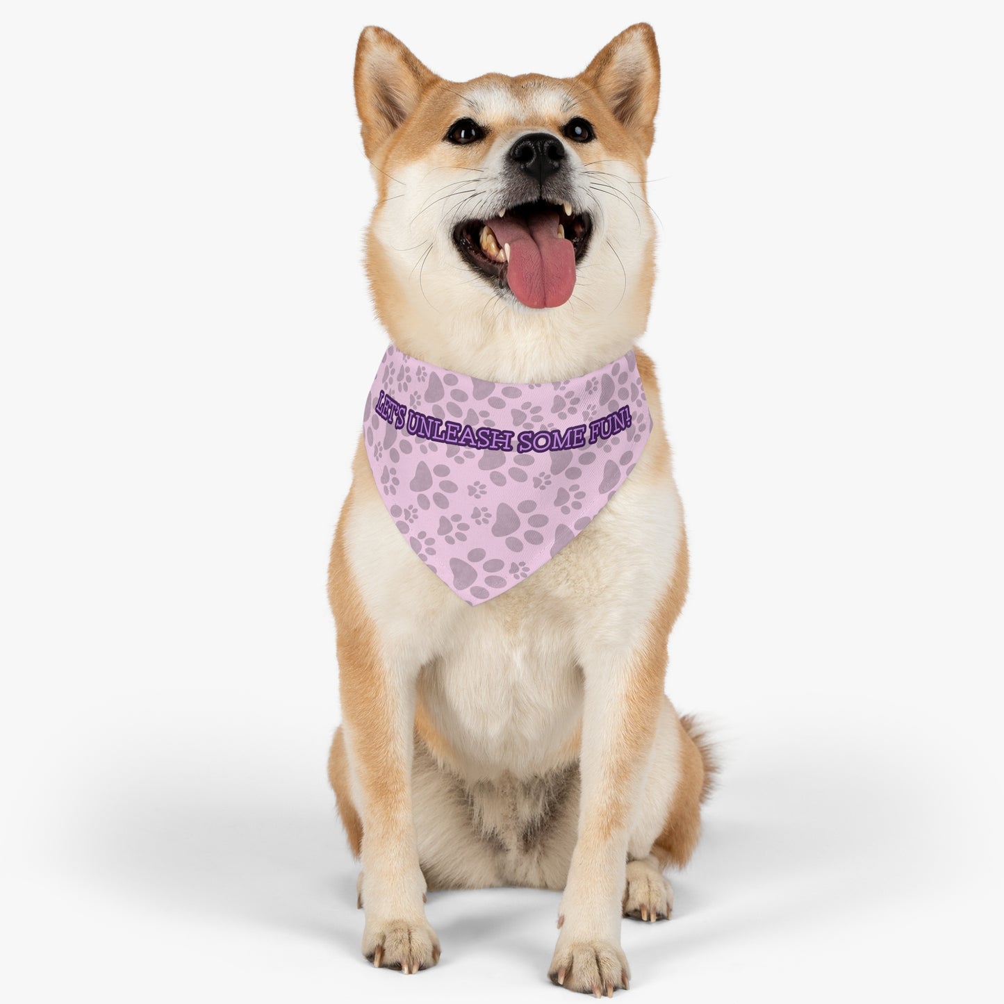 Pet Collar Couture (Pink)