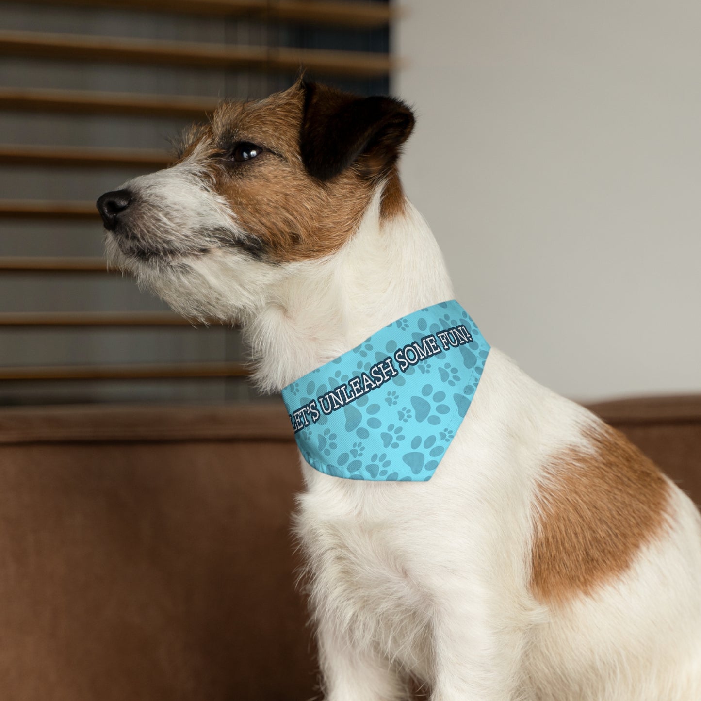 Pet Pet Collar Couture (Blue)