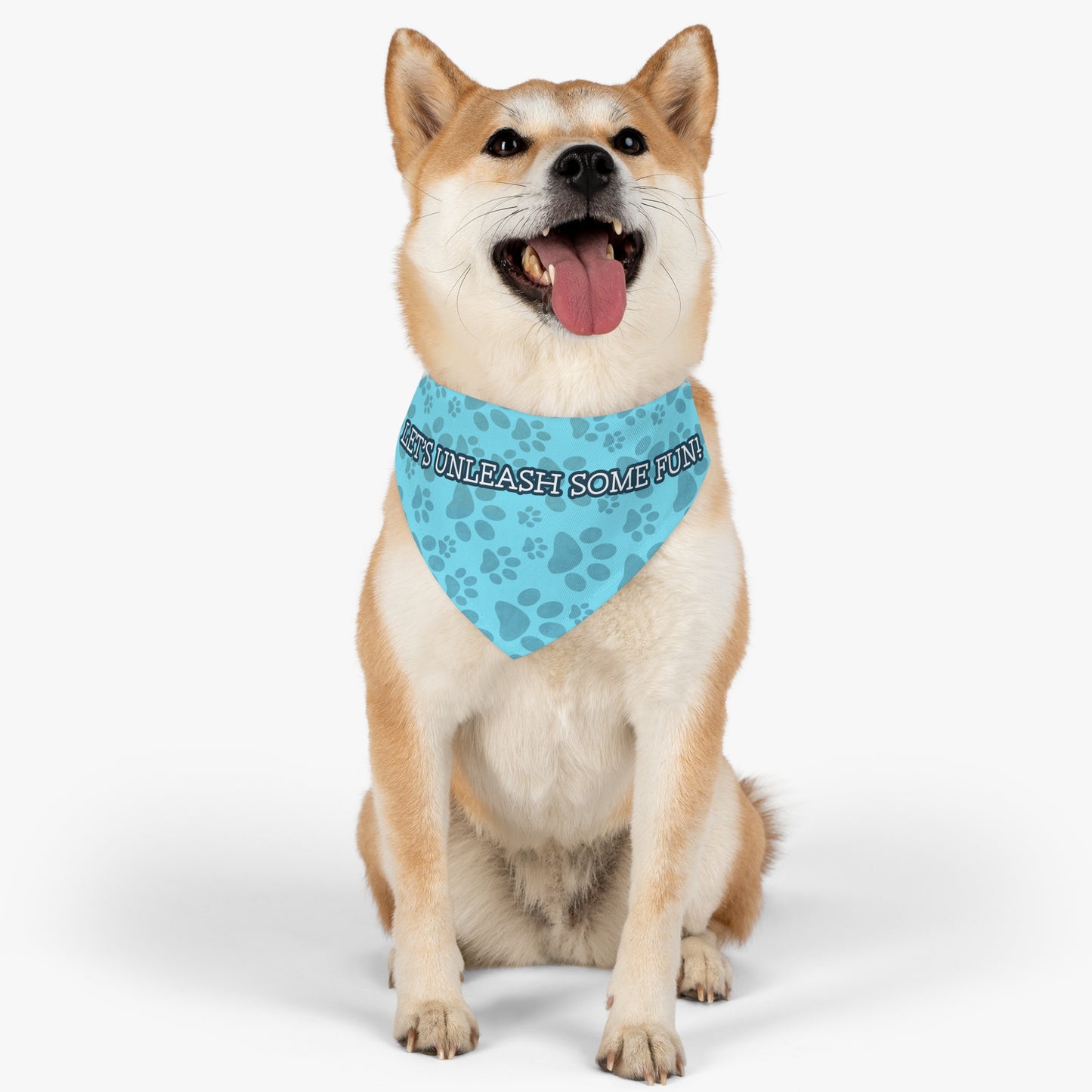 Pet Pet Collar Couture (Blue)